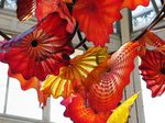 15475 Detail of glass flowers in Temperate house.jpg